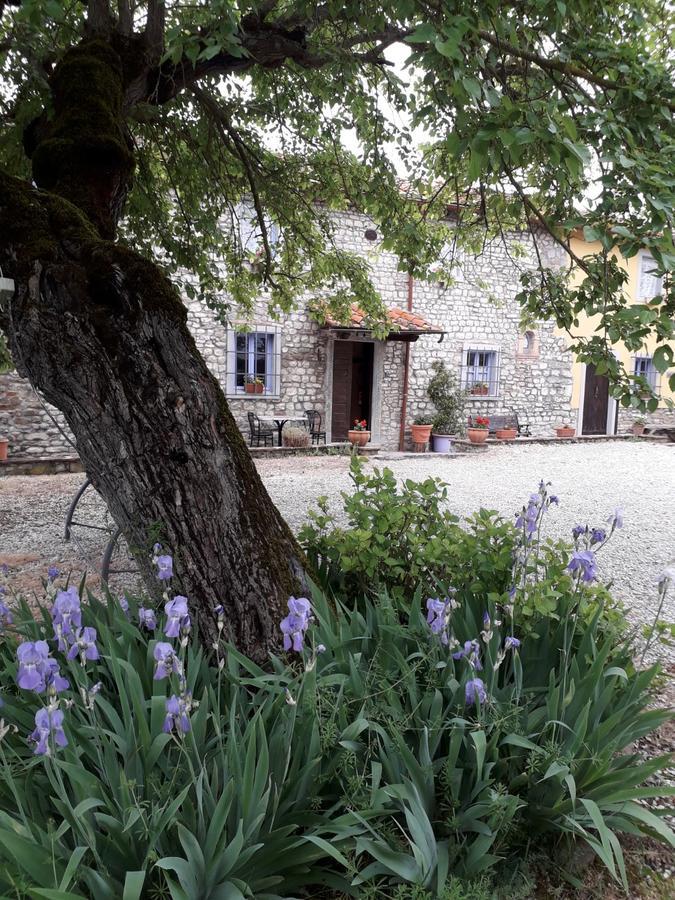La Chiusuraccia Farm stay *