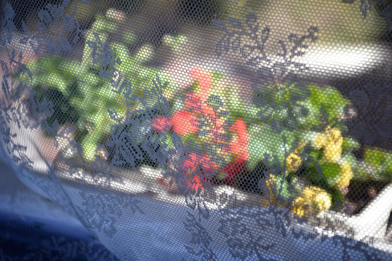 Farm stay La Chiusuraccia