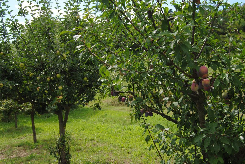 Alloggio per agriturismo La Chiusuraccia